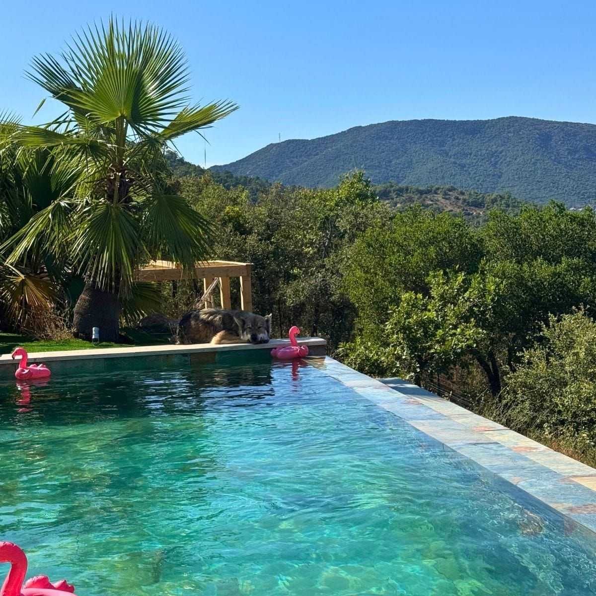 Chambres d'hôtes Plan de la Tour